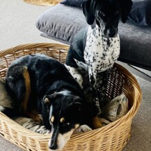 Crew: Stage Manager Gipsy (left), Backstage Officer Holly Crew